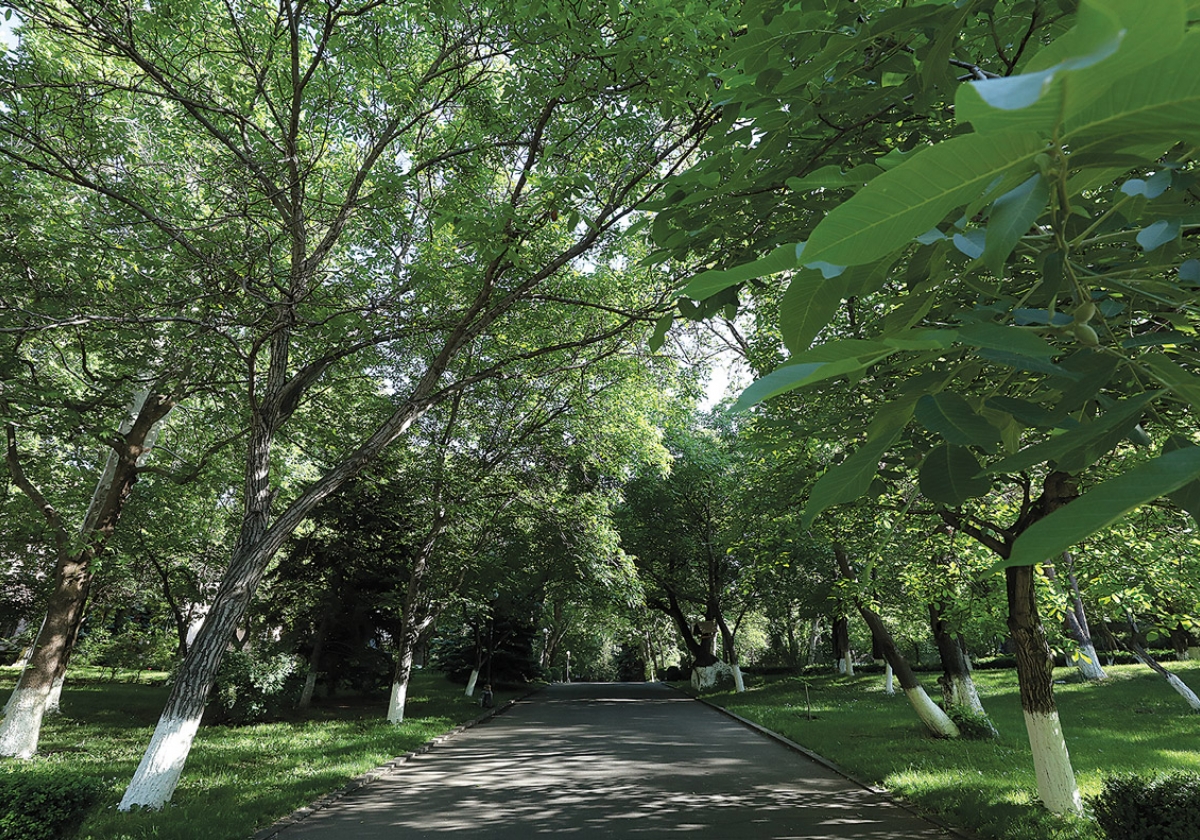 Օրենսդիր այգի