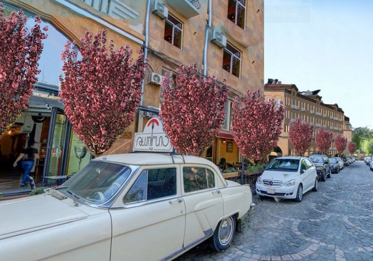 «Արժեքավոր ու գեղատեսիլ ծառեր»․ ի՞նչ է կատարվում Կենտրոնի ծառահատման շուրջ