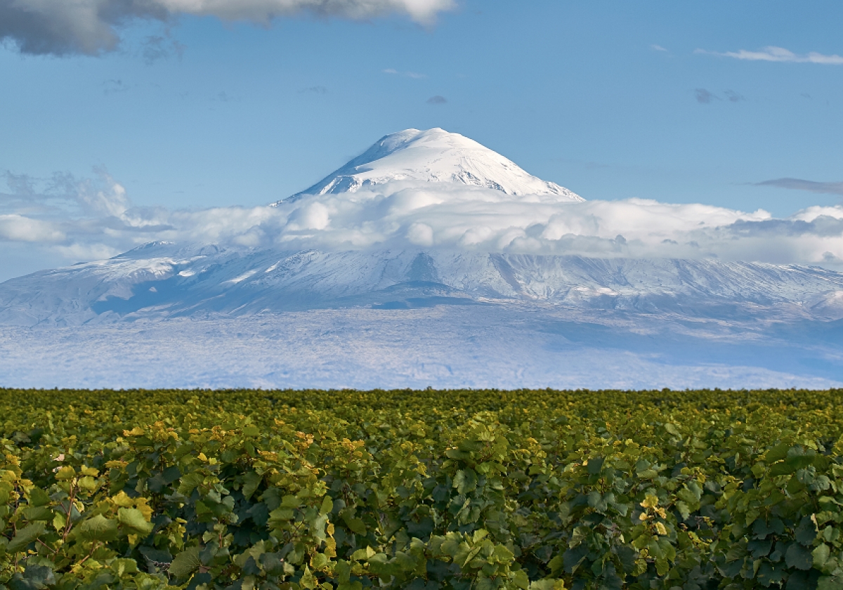 Խուլիանա Դել Ագիլա Էռնեկյան․ «Կարասը մեծ դեր է խաղացել հայկական գինու վերածննդի գործում»