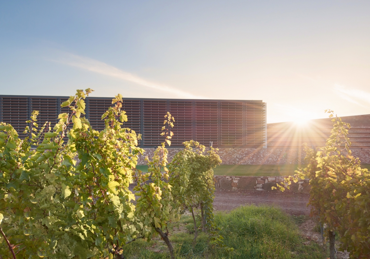 🍷 «Քեֆը միավորում է սրտերը, բերում սեր և ծիծաղ»