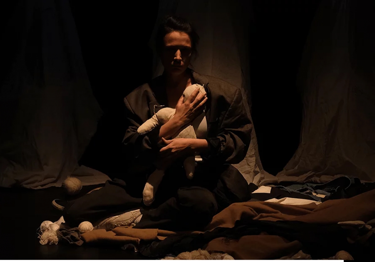 Ժենյա Բերկովիչի ներկայացումները՝ Երևանում