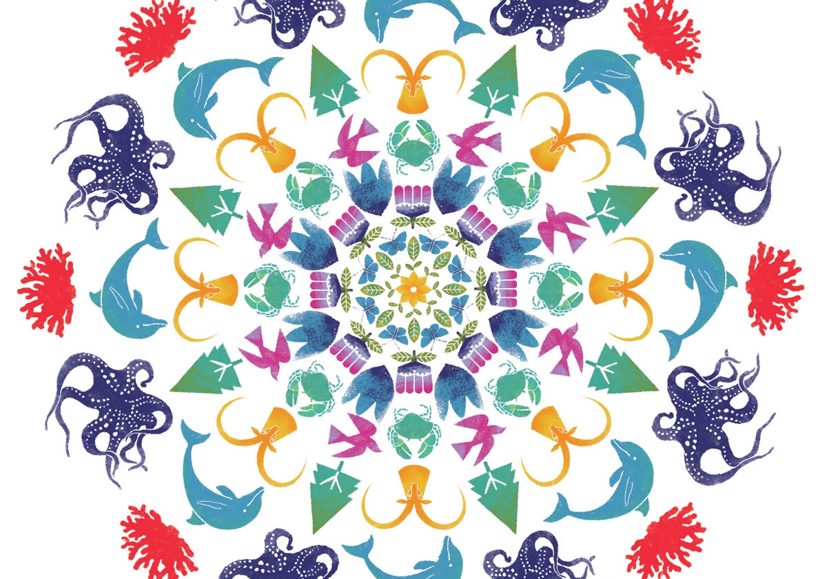 «Արևորդի» 2024. Ուղեցույց