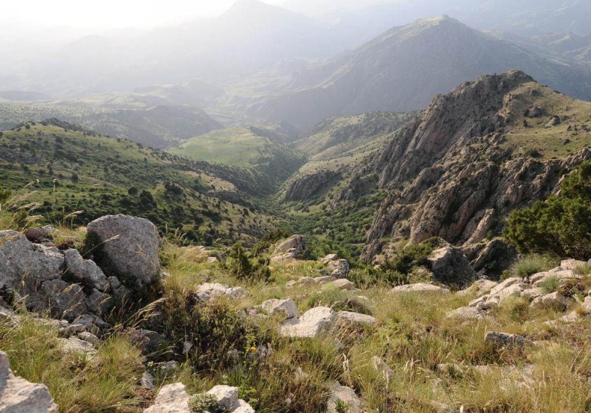 FPWC. թվեր ու փաստեր