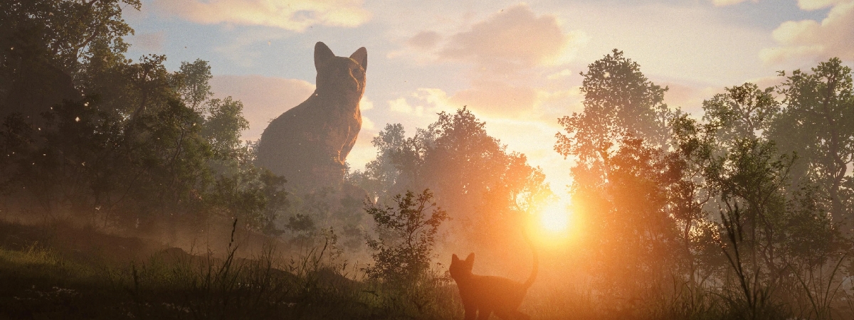 ՌեԱնիմանիա 2024․ ուղեցույց