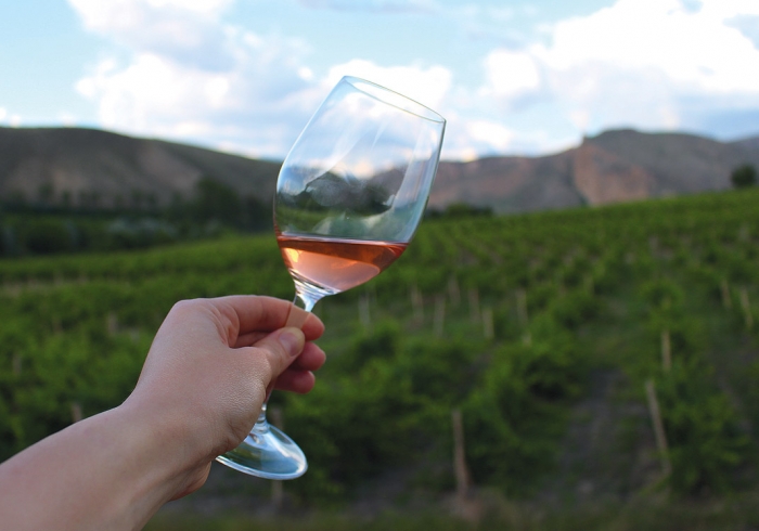 Թրևագիր Վայոց ձորի գինուղուց