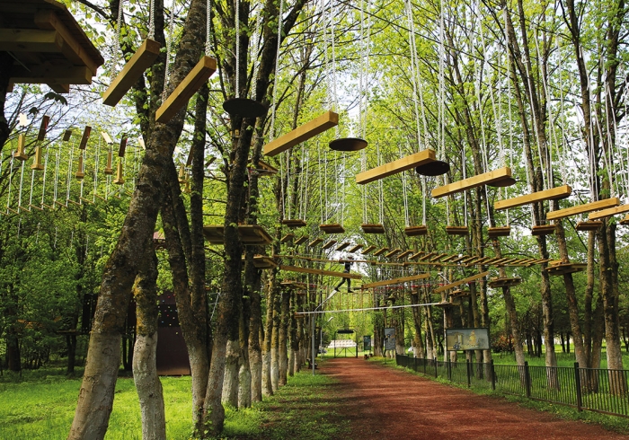 Դիլիջանյան արկածներ