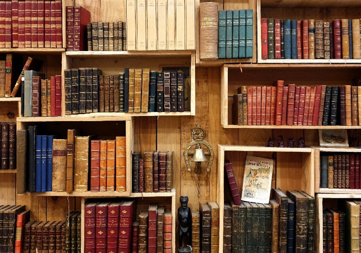 «Կարդում եմ ամենուր ու ամեն հարմար պահի». Գրքամոլներ 2020